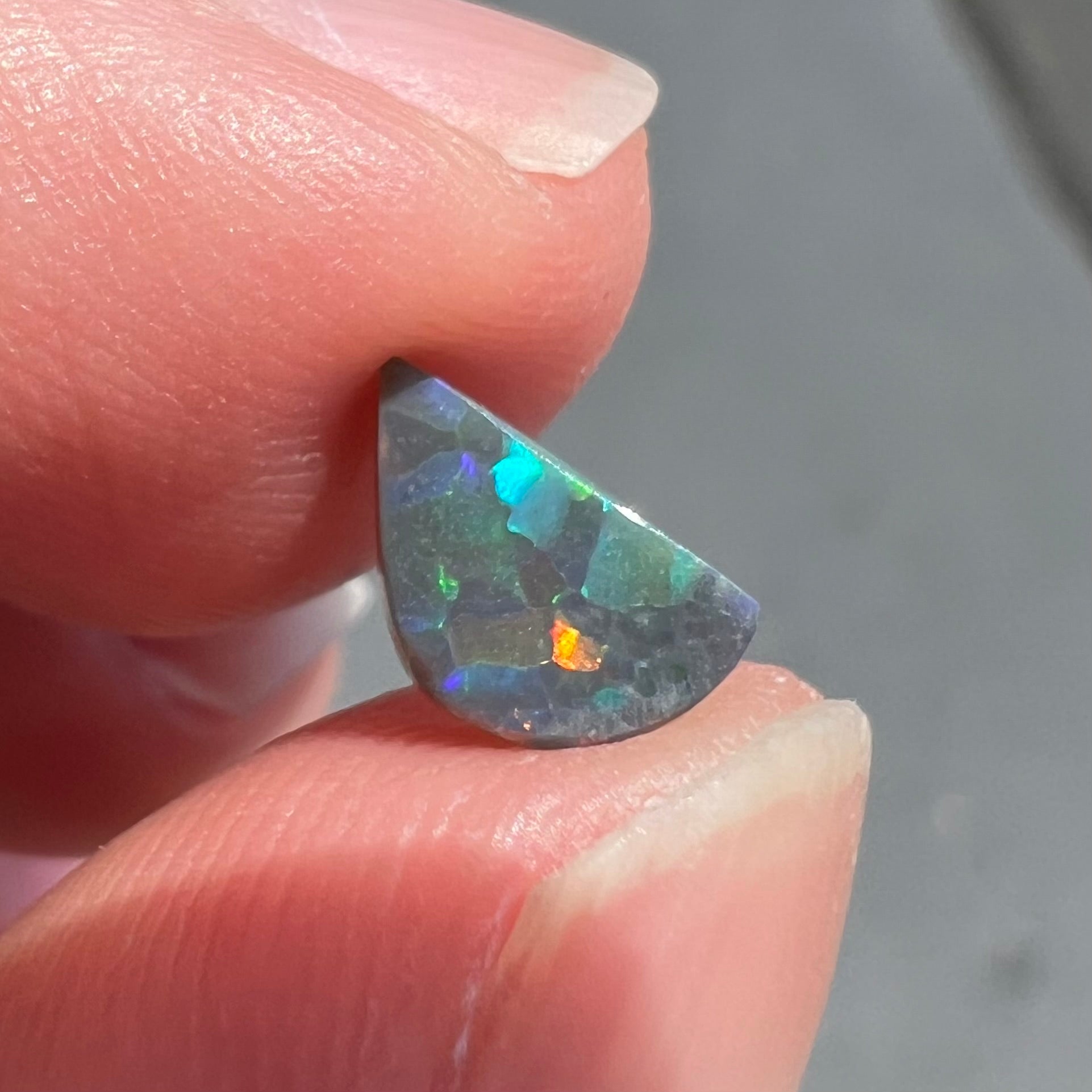 A loose, freeform cut black opal stone from Lightning Ridge, Australia.  The opal shines bright orange colors.
