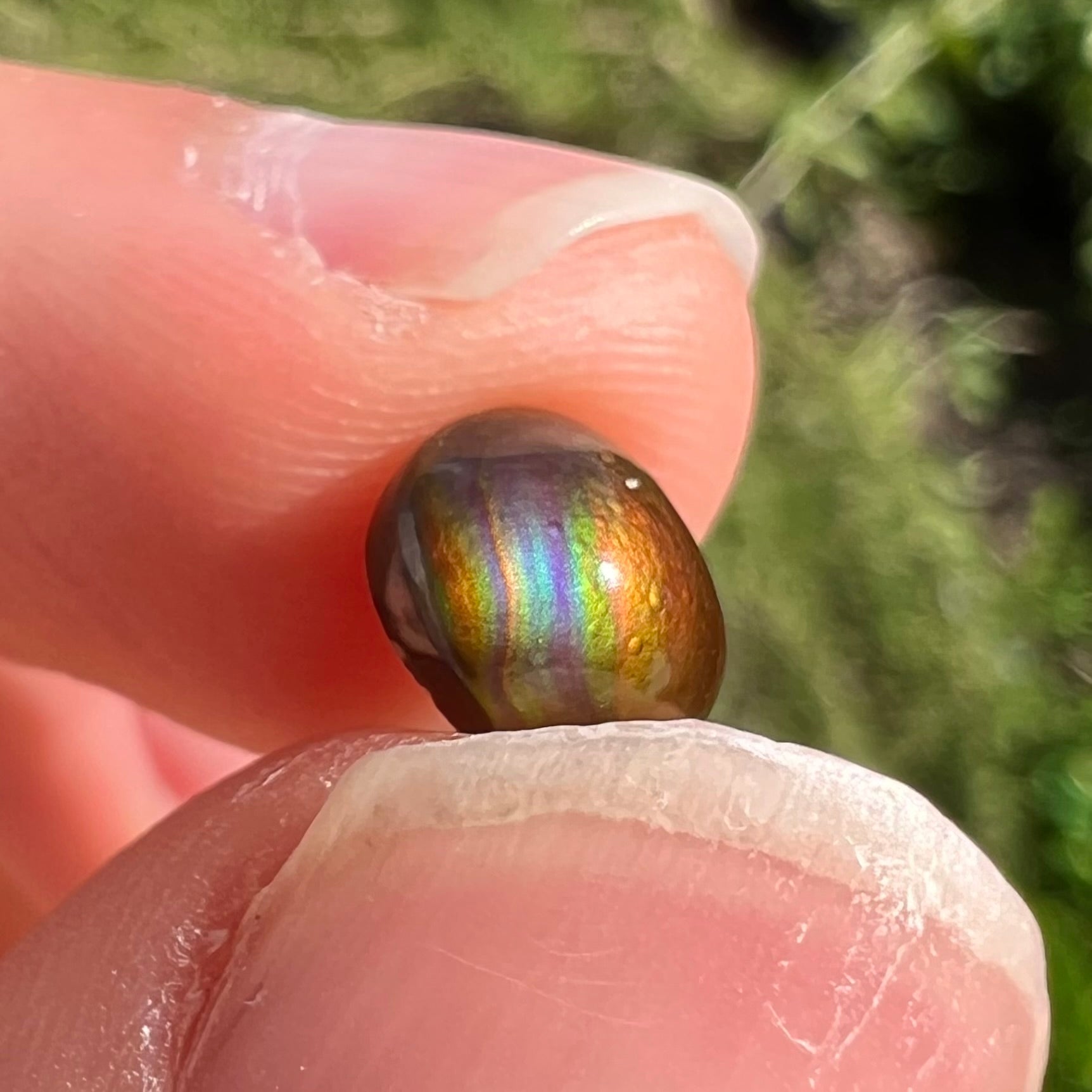 A 1.69ct round cabochon cut Mexican fire agate stone.  The stone is red with purple and green swirls.