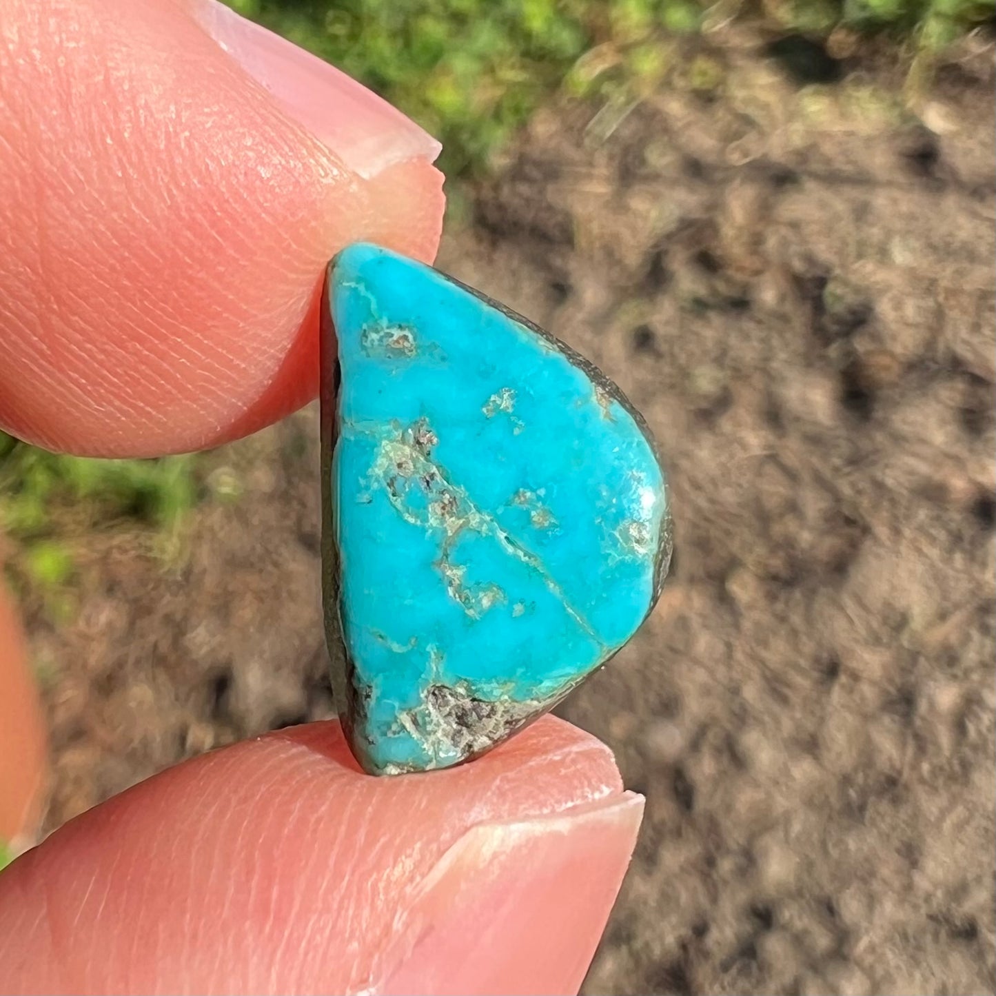 A loose, freeform cabochon cut Kingman turquoise stone.  The stone is bright blue.