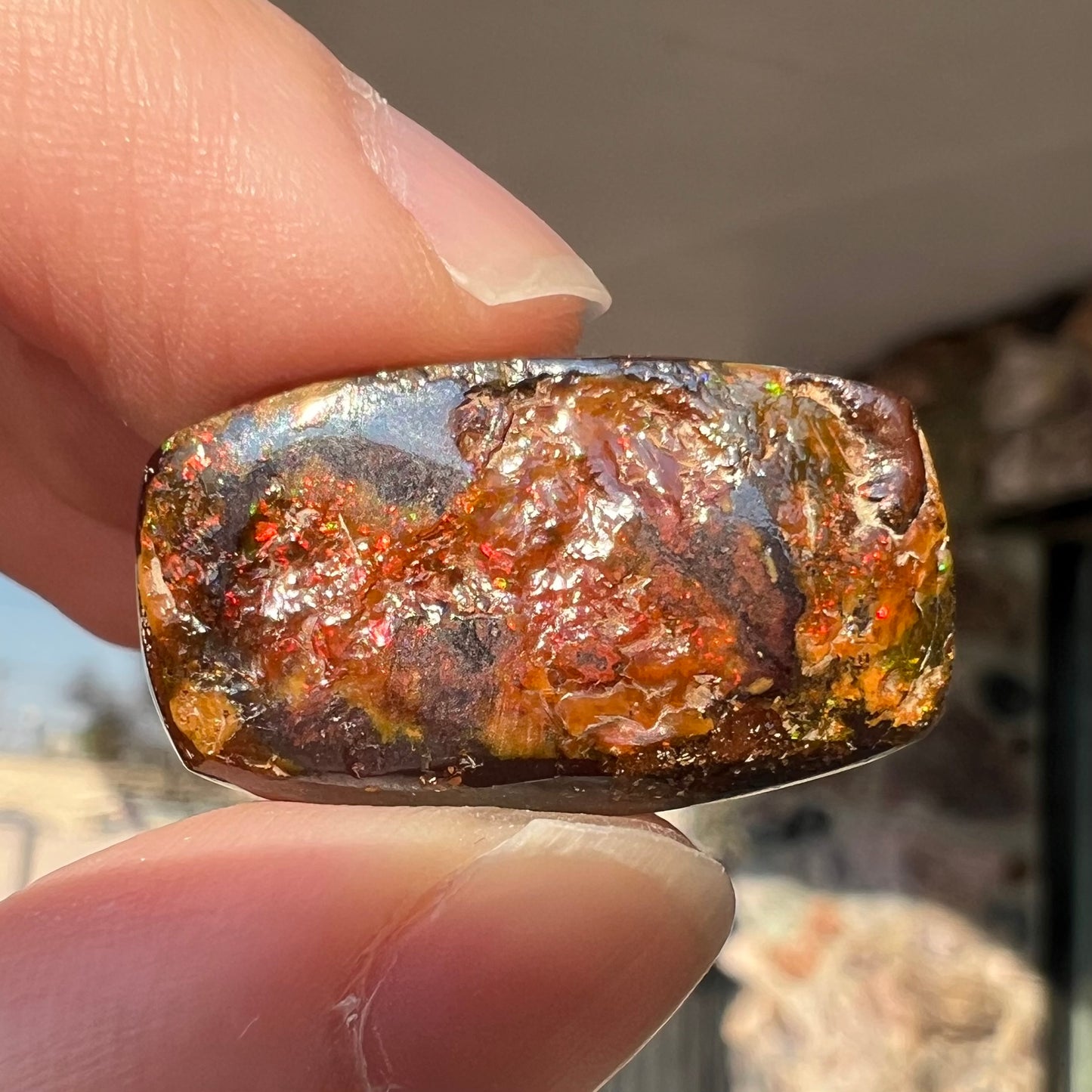 31.10ct Quilpie Boulder Opal | #E192