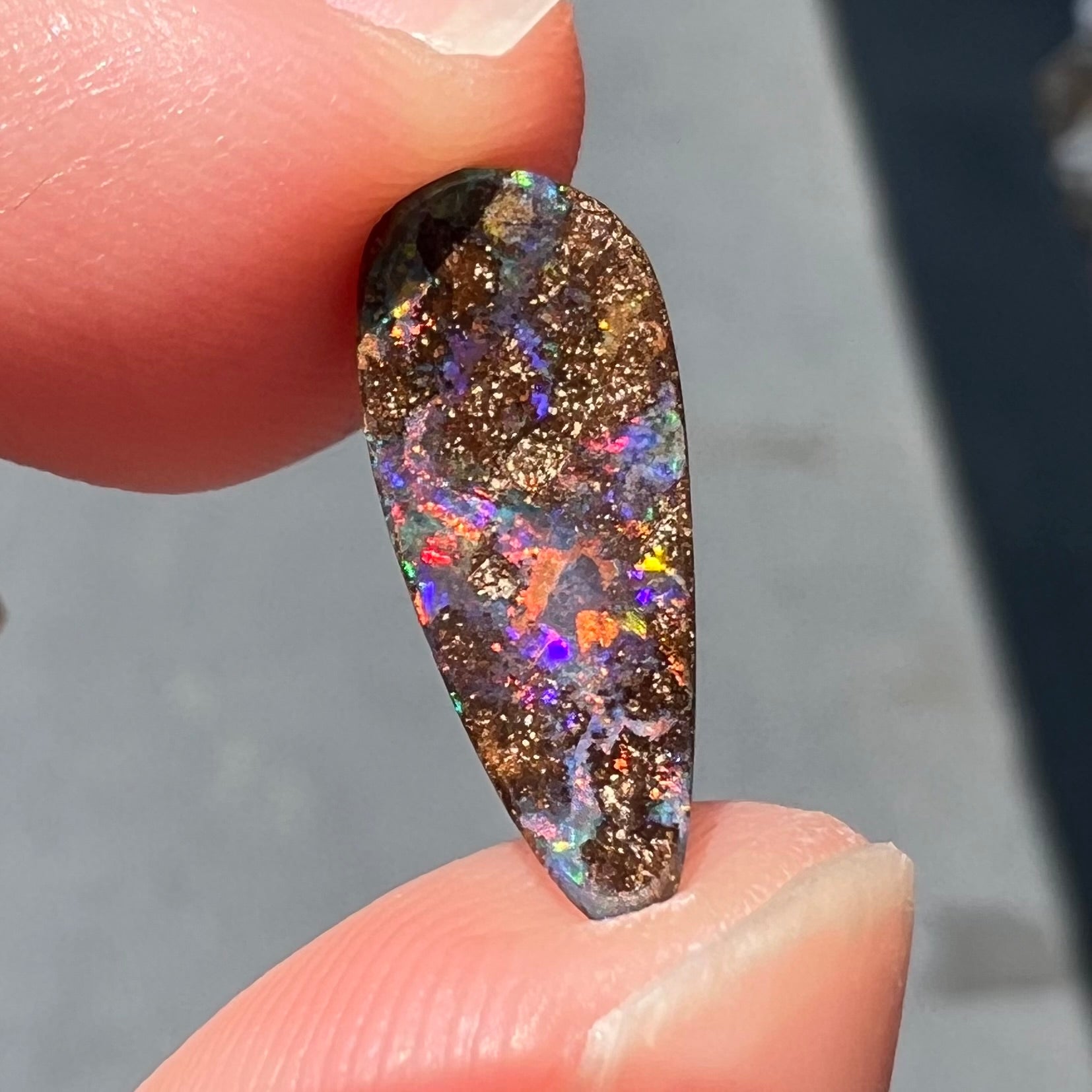 A loose, pear shaped boulder opal stone from Quilpie, Australia.  The opal shines every color of the rainbow.