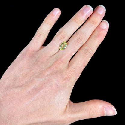A loose, faceted oval cut chrysoberyl gemstone.  The stone is a greenish yellow color.