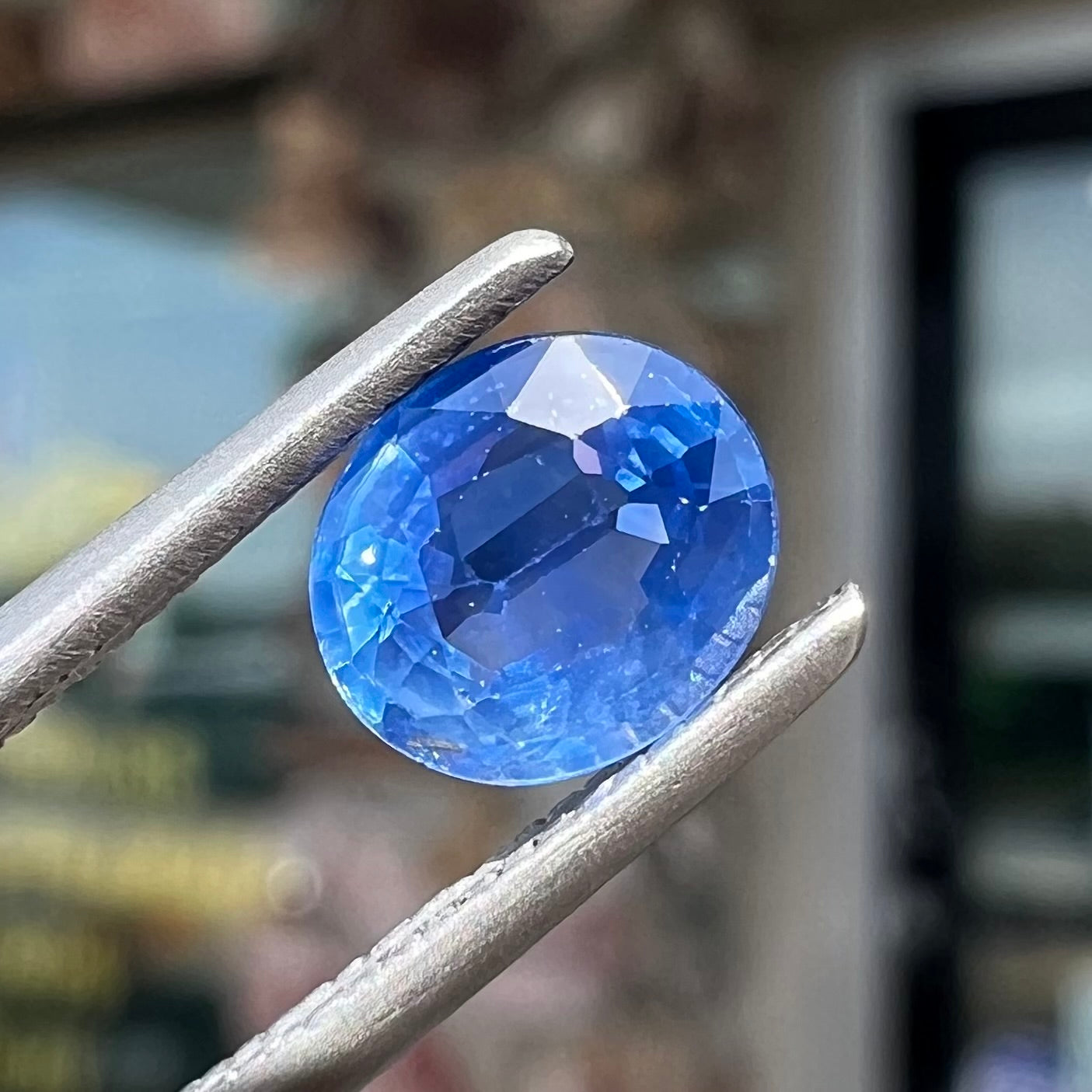 A loose, faceted oval cut natural blue sapphire.  The color is a dark cornflower blue.