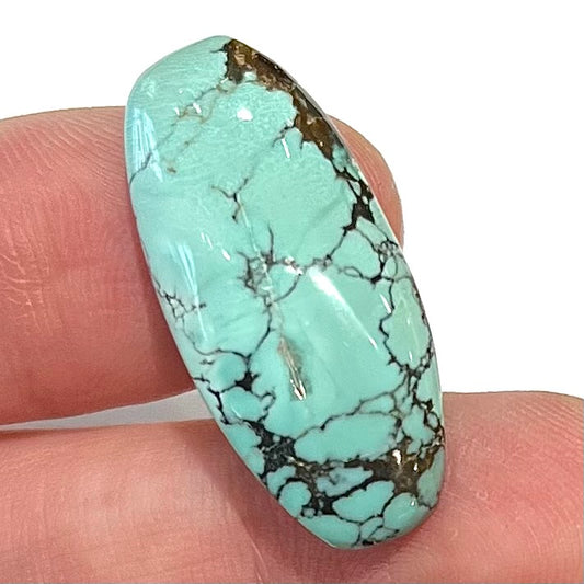 A loose, barrel cabochon cut Courtland-Gleeson turquoise stone.  The stone is greenish blue with black and brown matrix.
