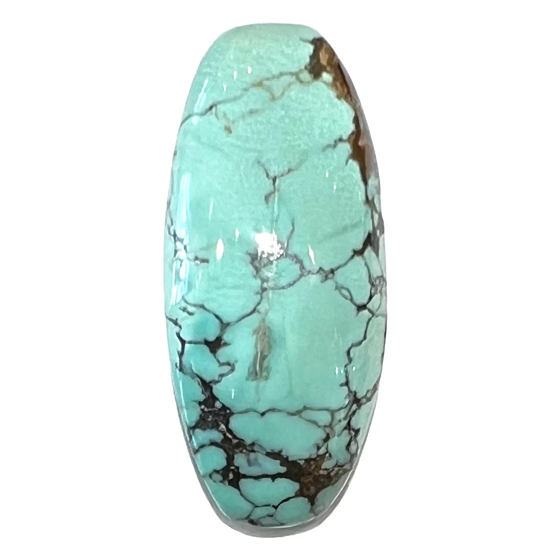 A loose, barrel cabochon cut Courtland-Gleeson turquoise stone.  The stone is greenish blue with black and brown matrix.