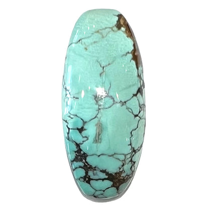 A loose, barrel cabochon cut Courtland-Gleeson turquoise stone.  The stone is greenish blue with black and brown matrix.