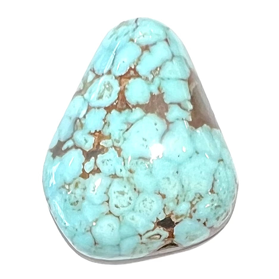A loose, triangular drop shape Dry Creek turquoise stone.