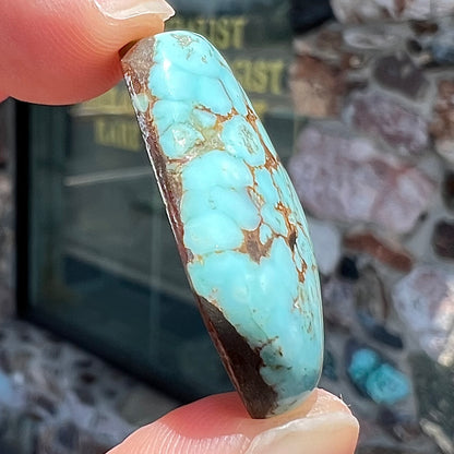 A loose, triangular drop shape Dry Creek turquoise stone.