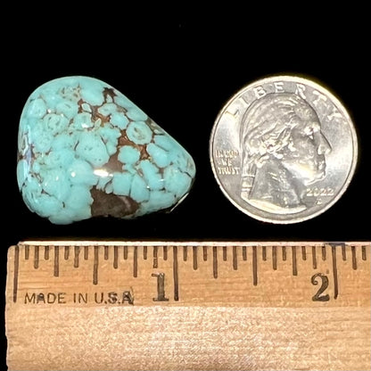 A loose, triangular drop shape Dry Creek turquoise stone.