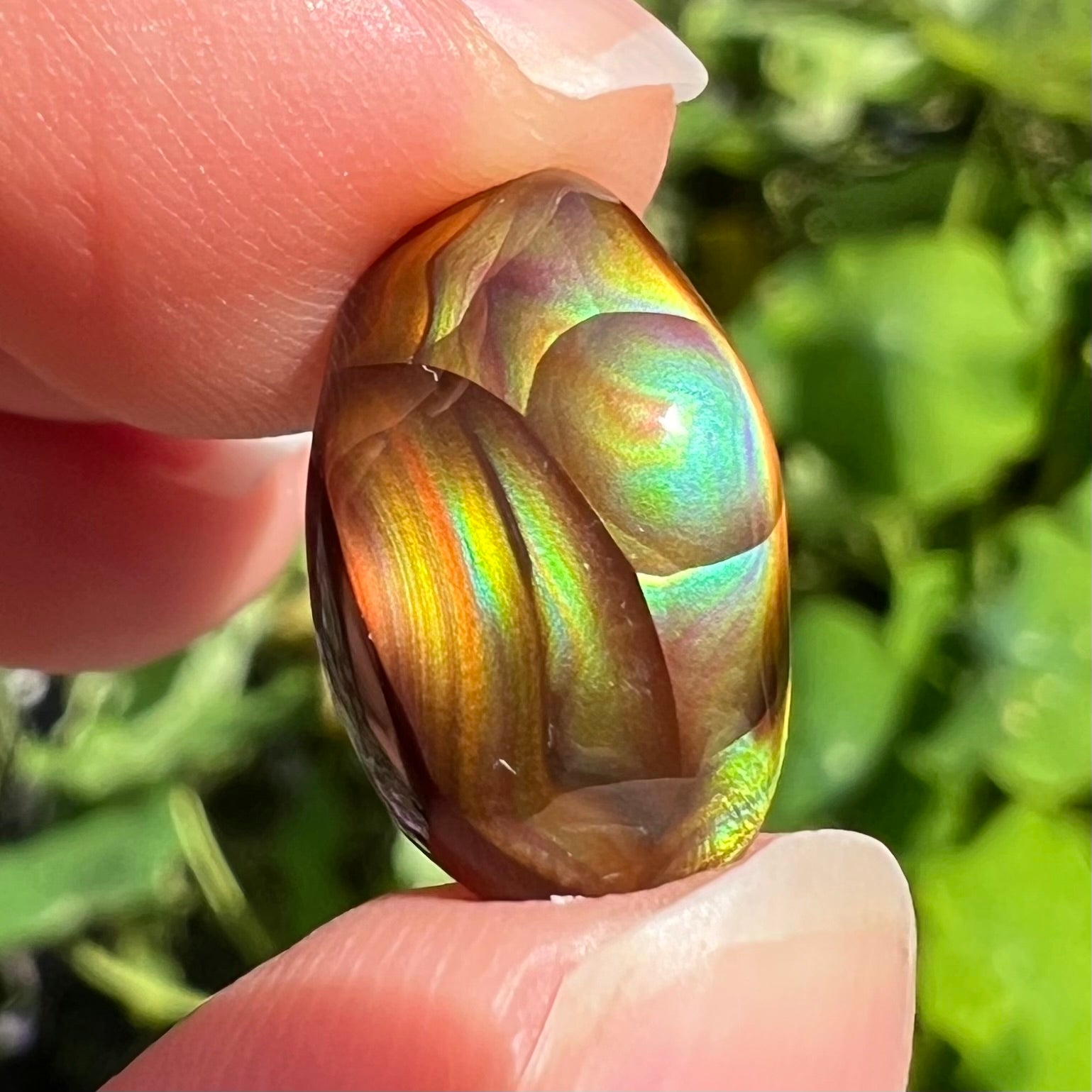 An oval cabochon cut Mexican fire agate stone.  The stone has bright, multicolored iridescent banding.