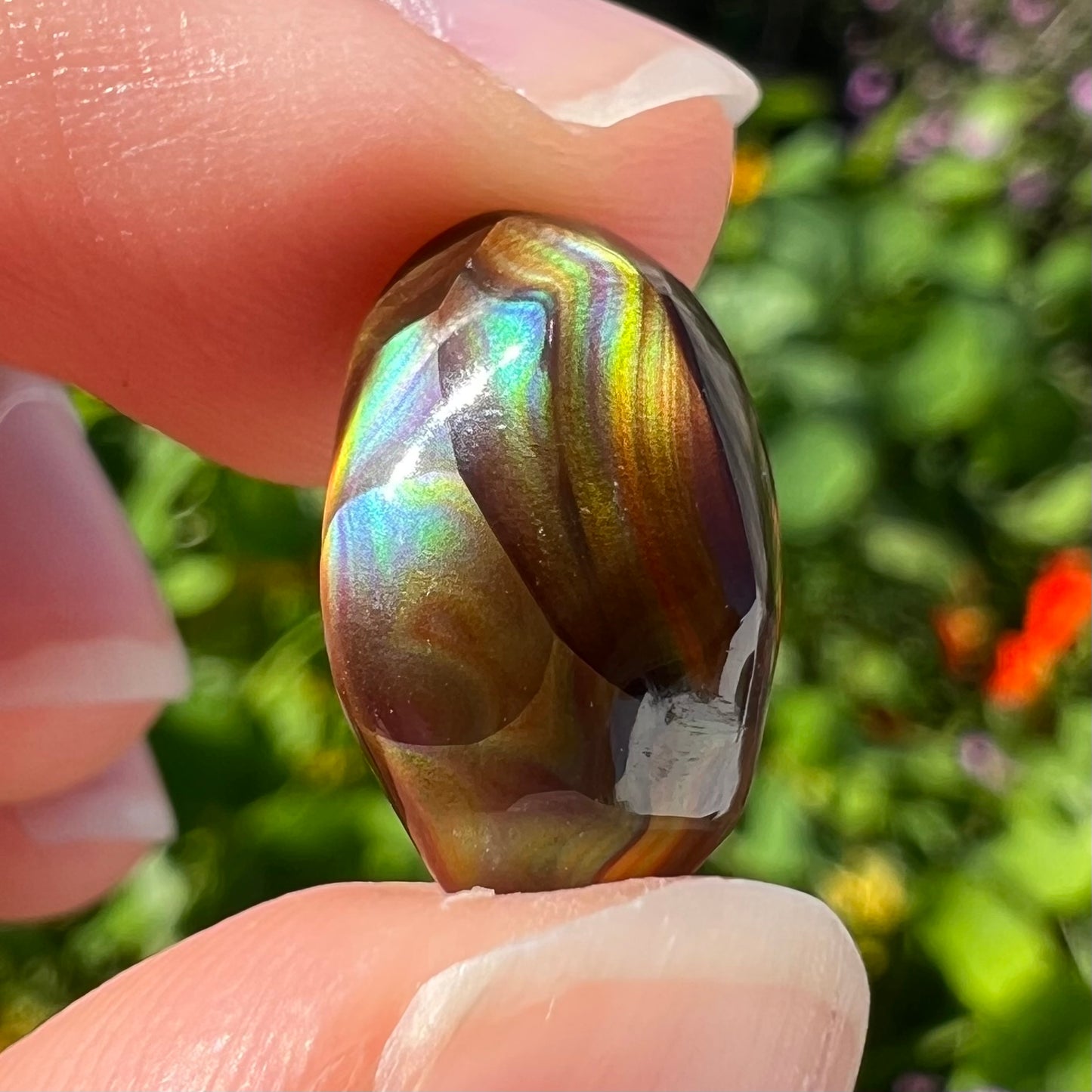 An oval cabochon cut Mexican fire agate stone.  The stone has bright, multicolored iridescent banding.
