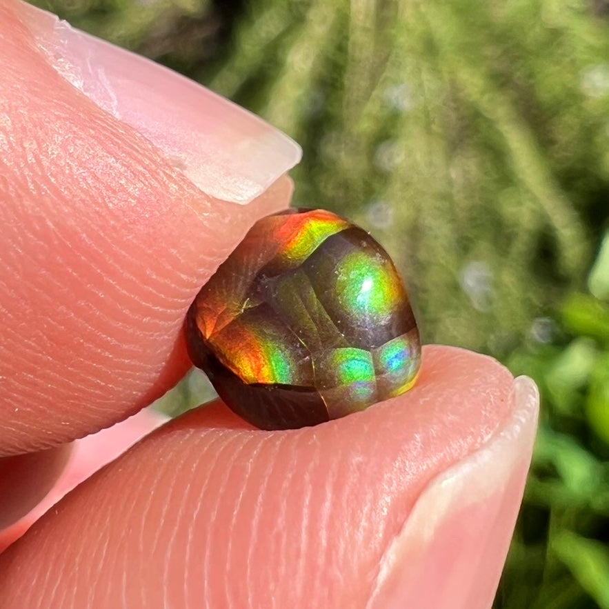 A loose, cabochon cut Mexican fire agate gemstone.  The stone is small and exceptionally bright in the sunlight.