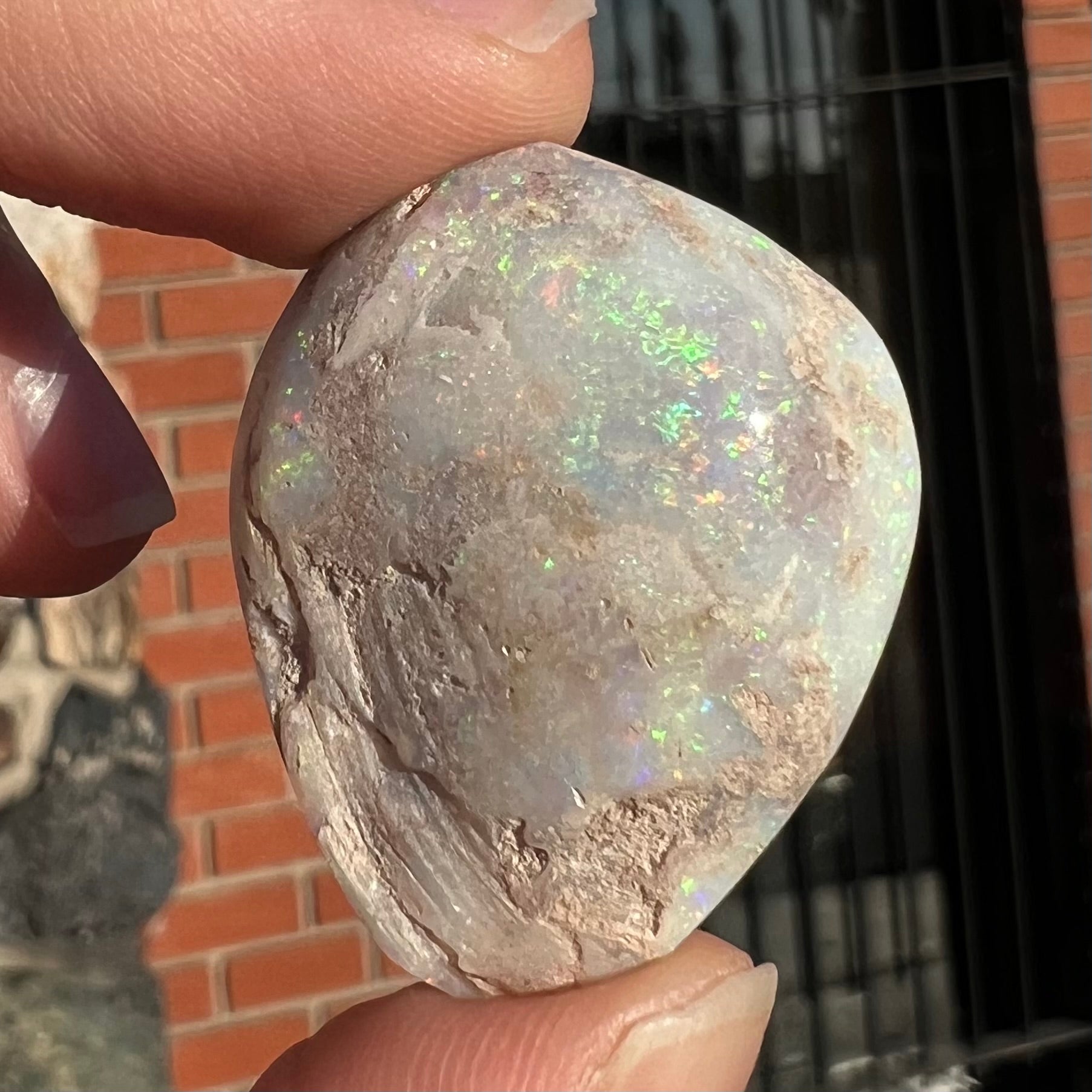 An opalized seashell fossil that displays play of color.  The full color spectrum is visible, including red, green, blue, and purple.