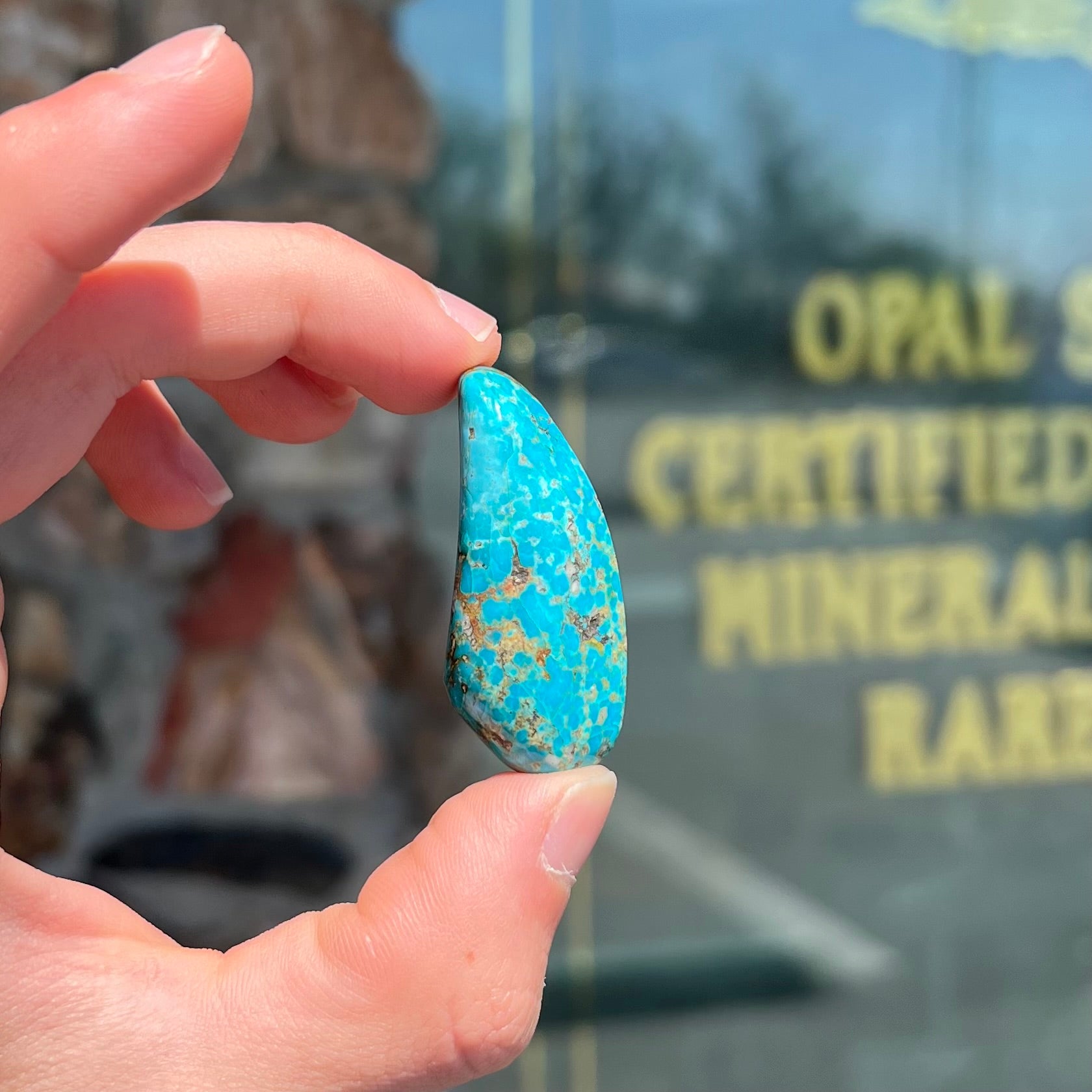 A loose, freeform cabochon cut Kingman turquoise stone from Arizona.  The stone is blue with gray and brown matrix.
