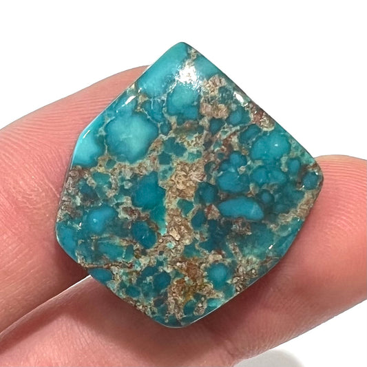 A loose turquoise stone from the Godber-Burnham mine in Lander County, Nevada.