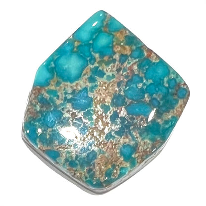 A loose turquoise stone from the Godber-Burnham mine in Lander County, Nevada.