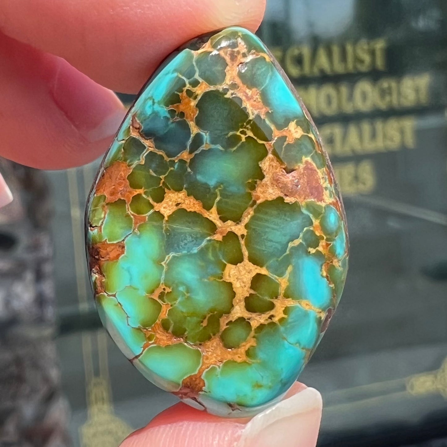 A polished golden spiderweb turquoise cabochon from Manassa, Colorado.