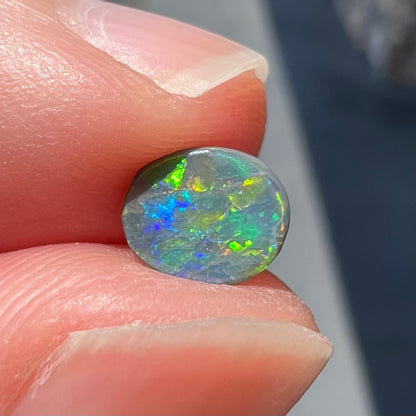 A loose oval cabochon cut black opal from Lightning Ridge, Australia.  The opal shows green and red colors.