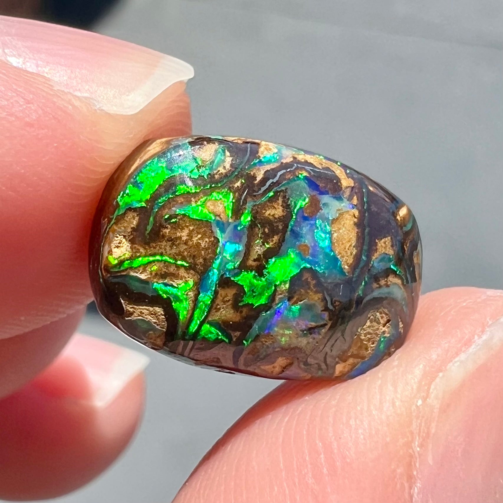 A loose, Koroit boulder opal stone.  The opal plays bright blue and green colors on a patterned matrix.