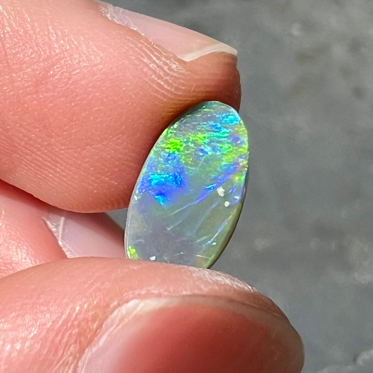 A loose, oval shaped black opal stone from Lightning Ridge, Australia.  The opal plays bright green and blue colors.