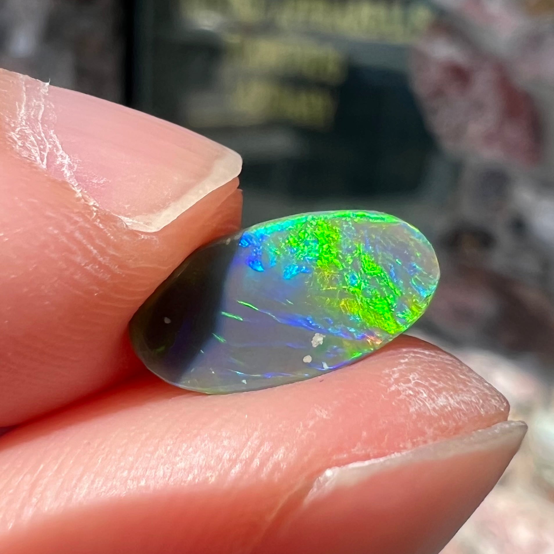 A loose, oval shaped black opal stone from Lightning Ridge, Australia.  The opal plays bright green and blue colors.