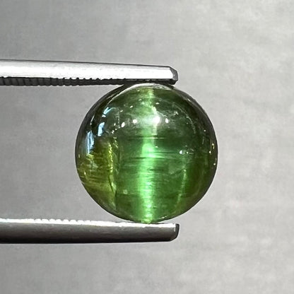 A loose, round cabochon cut green tourmaline stone that displays a cat's eye phenomenon.