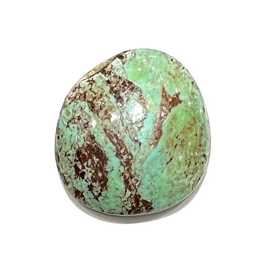 A loose, greenish blue Royston turquoise stone from Nevada.