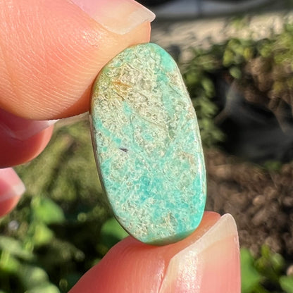 A freeform oval cabohcon cut turquoise stone from Lander County, Nevada.  The stone is greenish blue in color.
