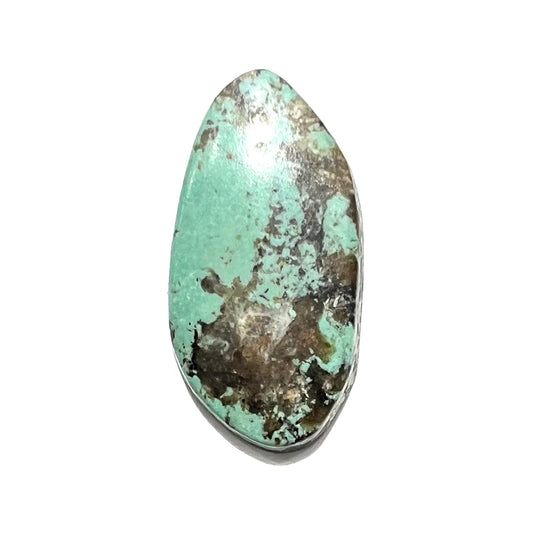 A freeform Valley Blue turquoise stone from Lander County, Nevada.  The stone is greenish blue with black matrix.