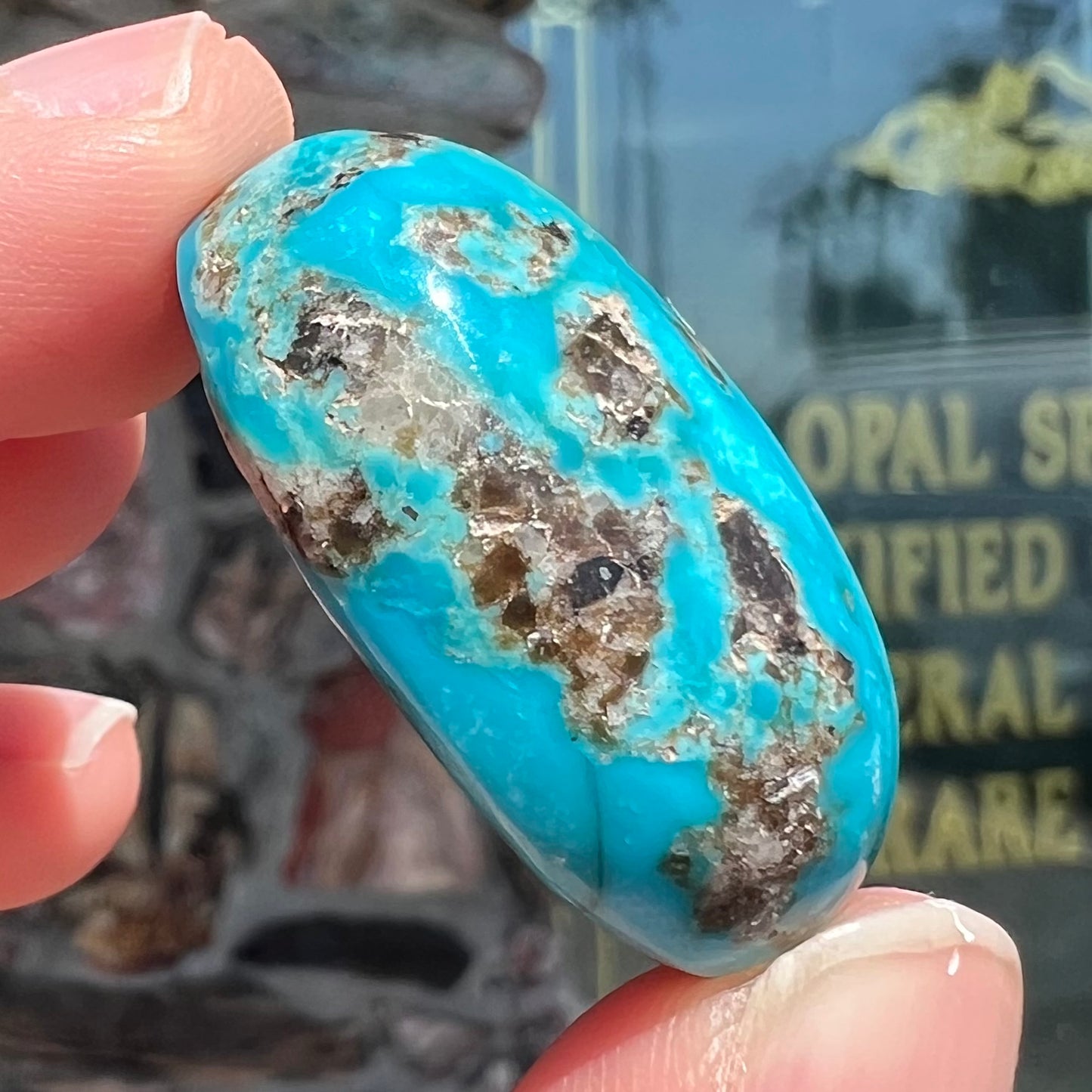 A loose, oval cabochon cut turquoise stone from Kingman, Arizona.