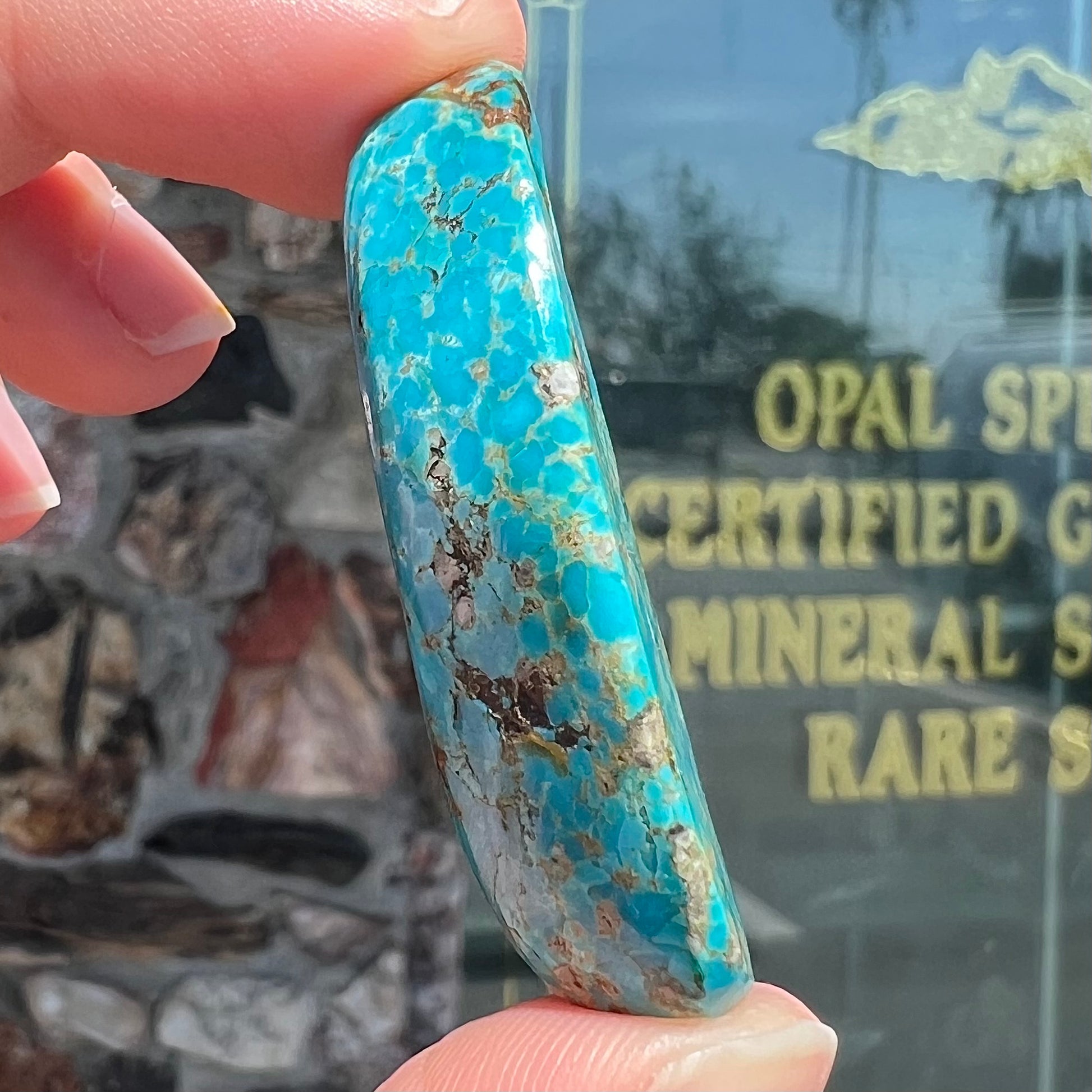 A loose, freeform cabochon cut Kingman turquoise stone from Arizona.  The stone is blue with gray and brown matrix.