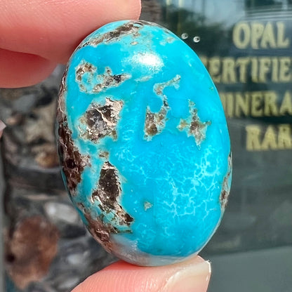 A loose, oval cabochon cut turquoise stone from Kingman, Arizona.