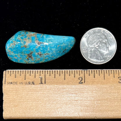 A loose, freeform cabochon cut Kingman turquoise stone from Arizona.  The stone is blue with gray and brown matrix.