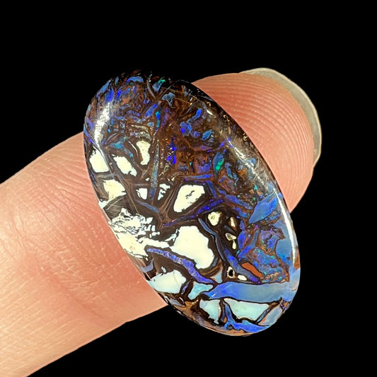 A Koroit boulder matrix opal with blue color play and white potch opal inclusions.