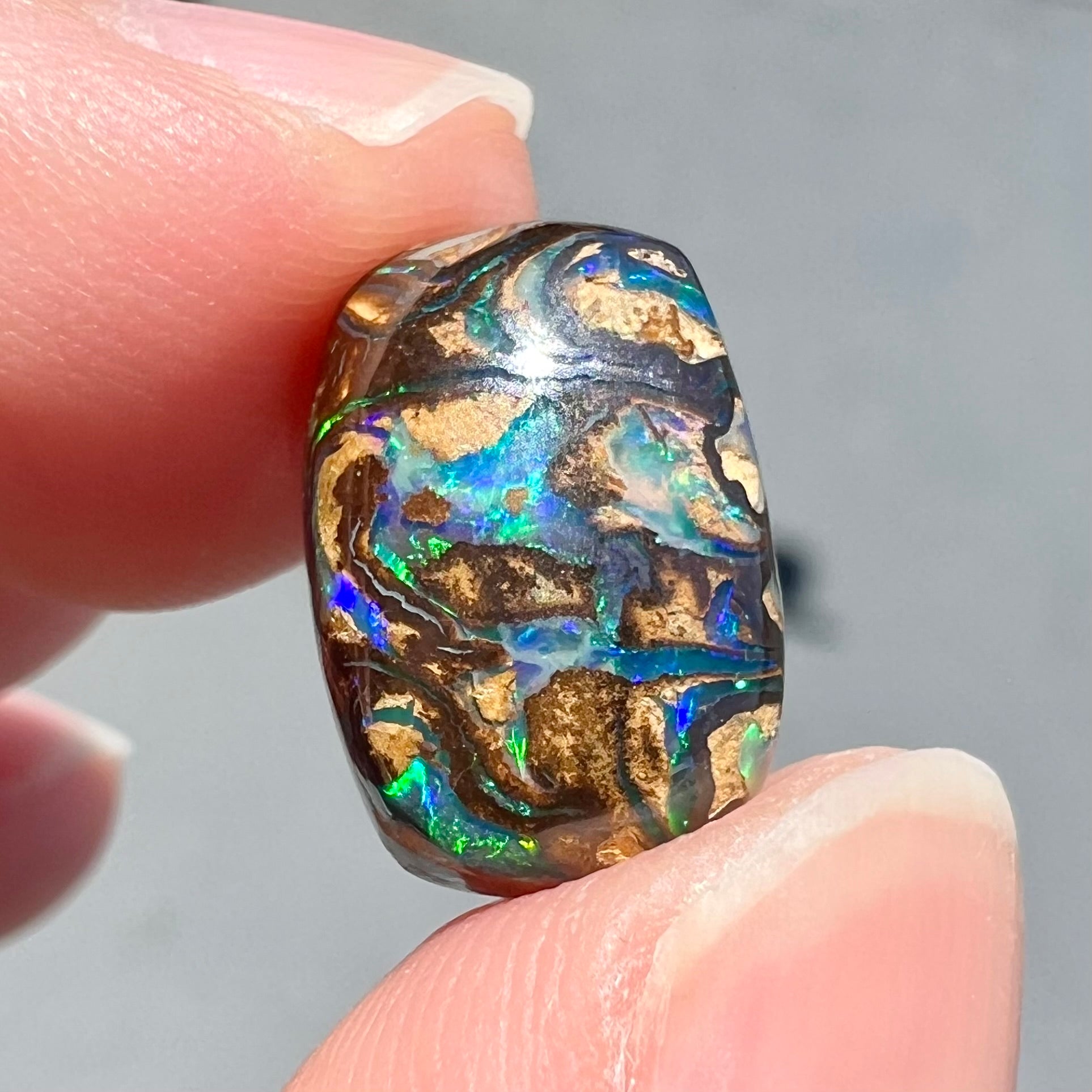 A loose, Koroit boulder opal stone.  The opal plays bright blue and green colors on a patterned matrix.