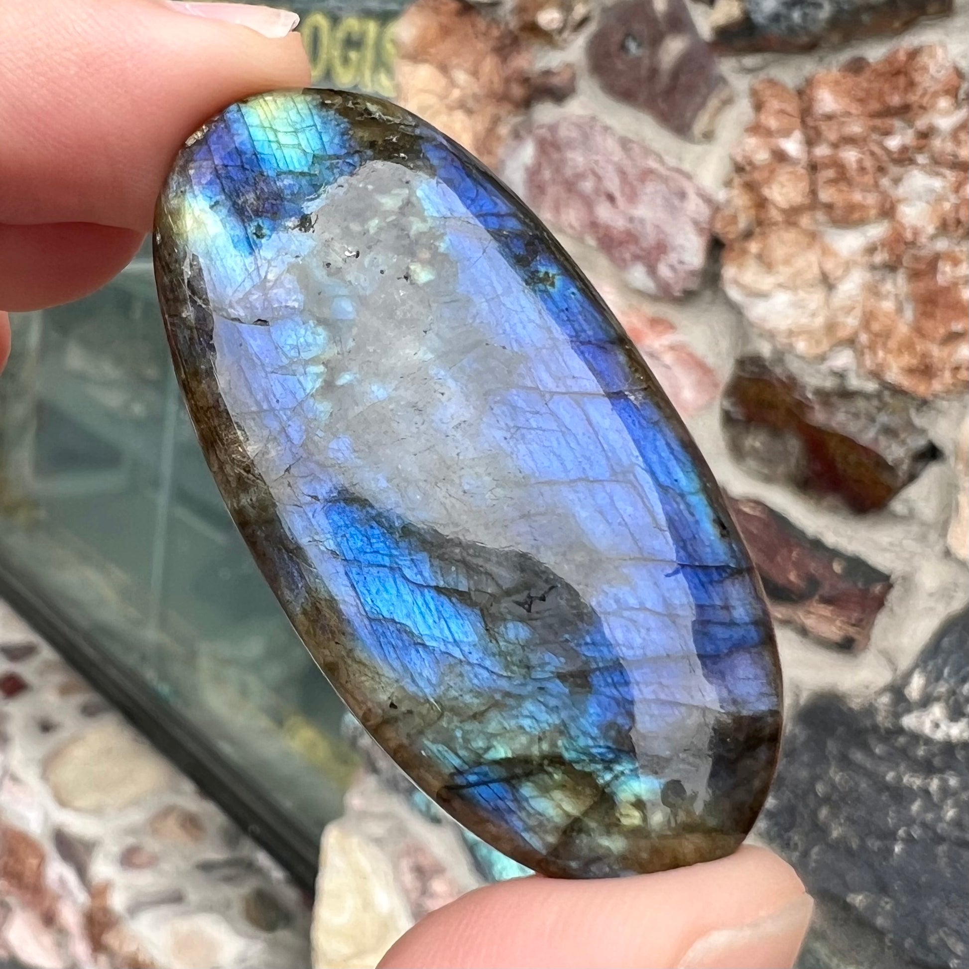 A loose, oval cabochon cut labradorite stone.  The stone is green with bright blue and yellow flashes.