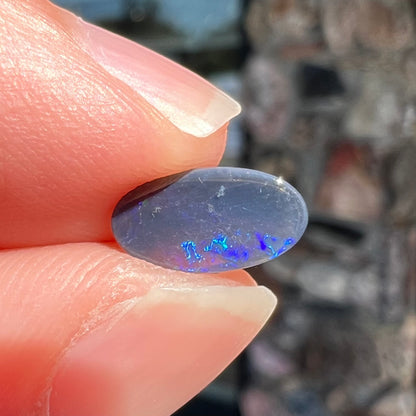 A loose, oval cabochon cut black opal stone from Lightning Ridge, Australia.  The opal has blue color play.