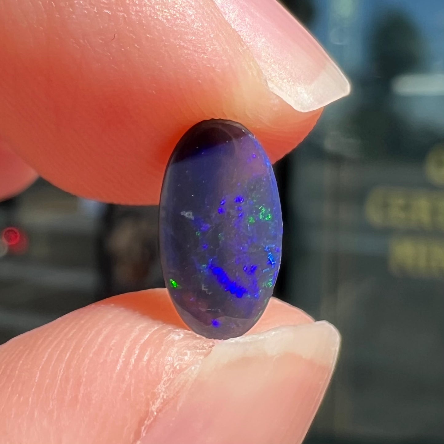 A loose, oval cabochon cut black opal stone from Lightning Ridge, Australia.  The opal has blue color play.