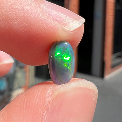 A loose, pill shaped black opal stone from Lightning Ridge, Australia.  The opal is green and blue.