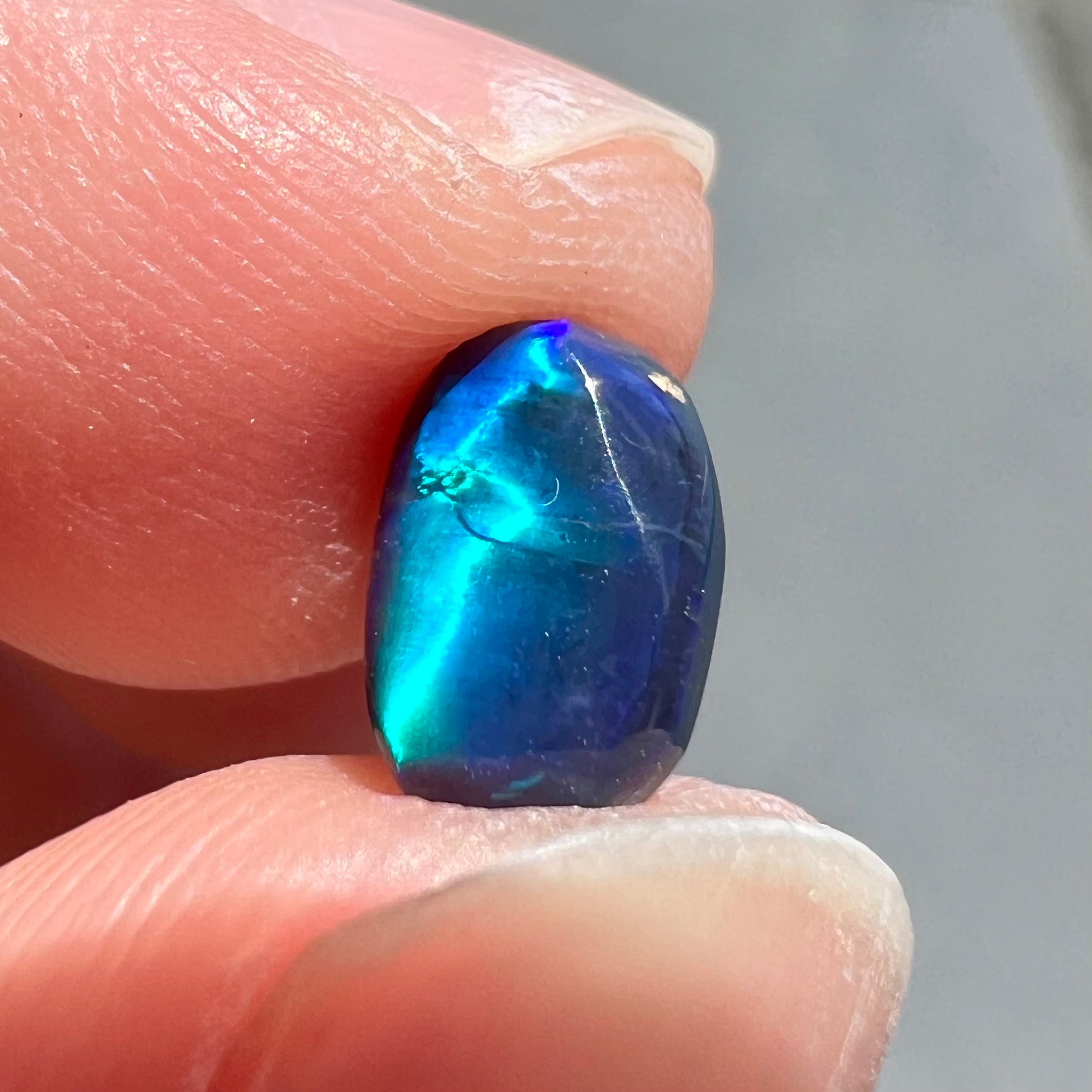 A loose black opal from Lightning Ridge, Australia.  The opal displays a blue cat's eye pattern.