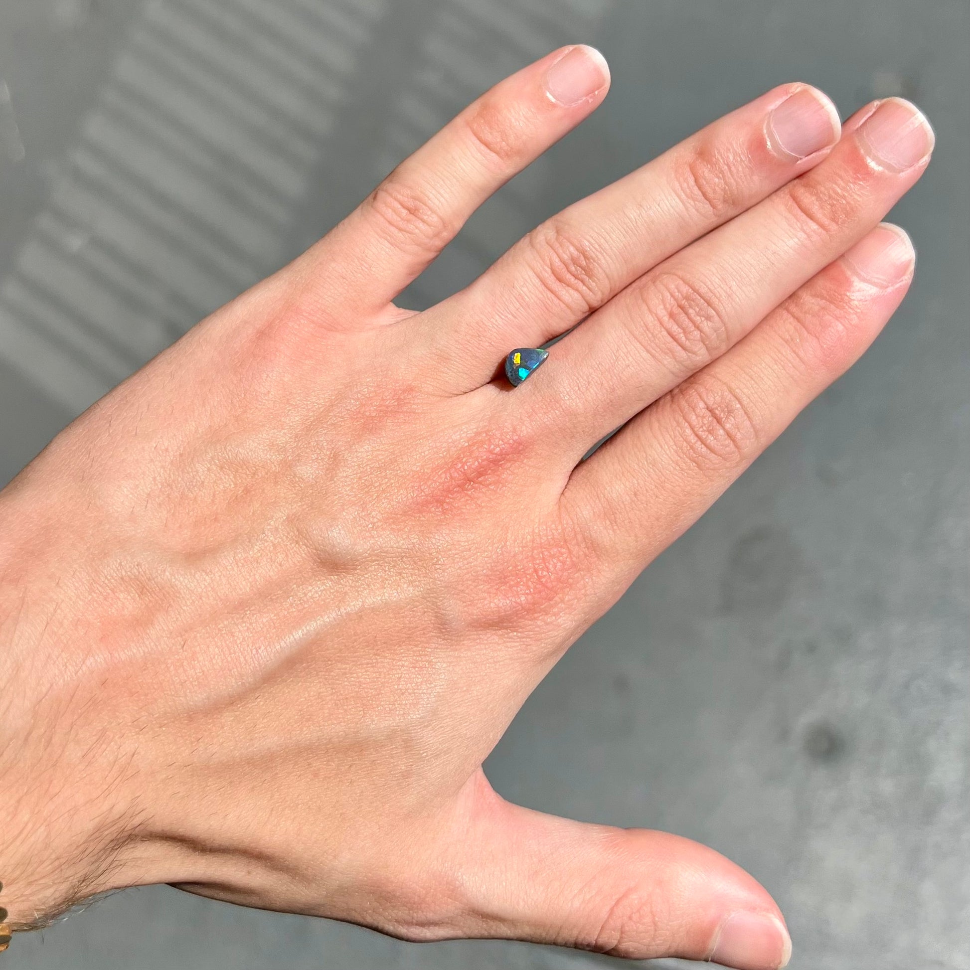 A loose, freeform cut black opal stone from Lightning Ridge, Australia.  The opal shines bright orange colors.
