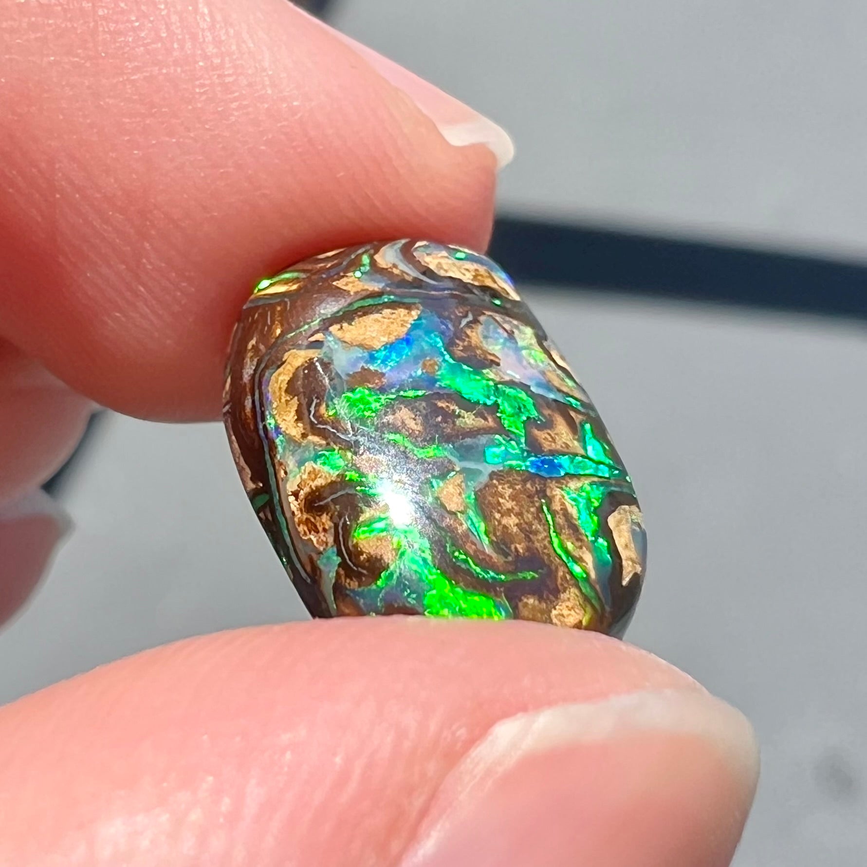 A loose, Koroit boulder opal stone.  The opal plays bright blue and green colors on a patterned matrix.