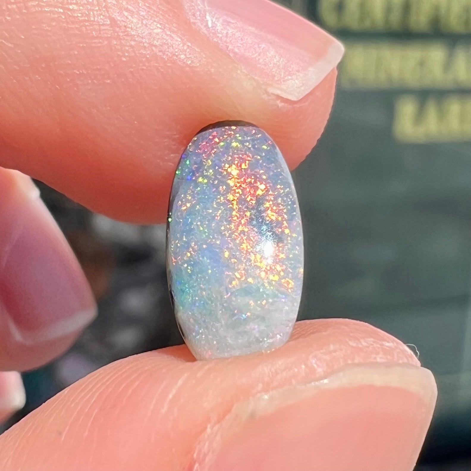 A loose, oval cabochon cut opal gemstone from Lightning Ridge, Australia.  The opal shines red and orange colors.