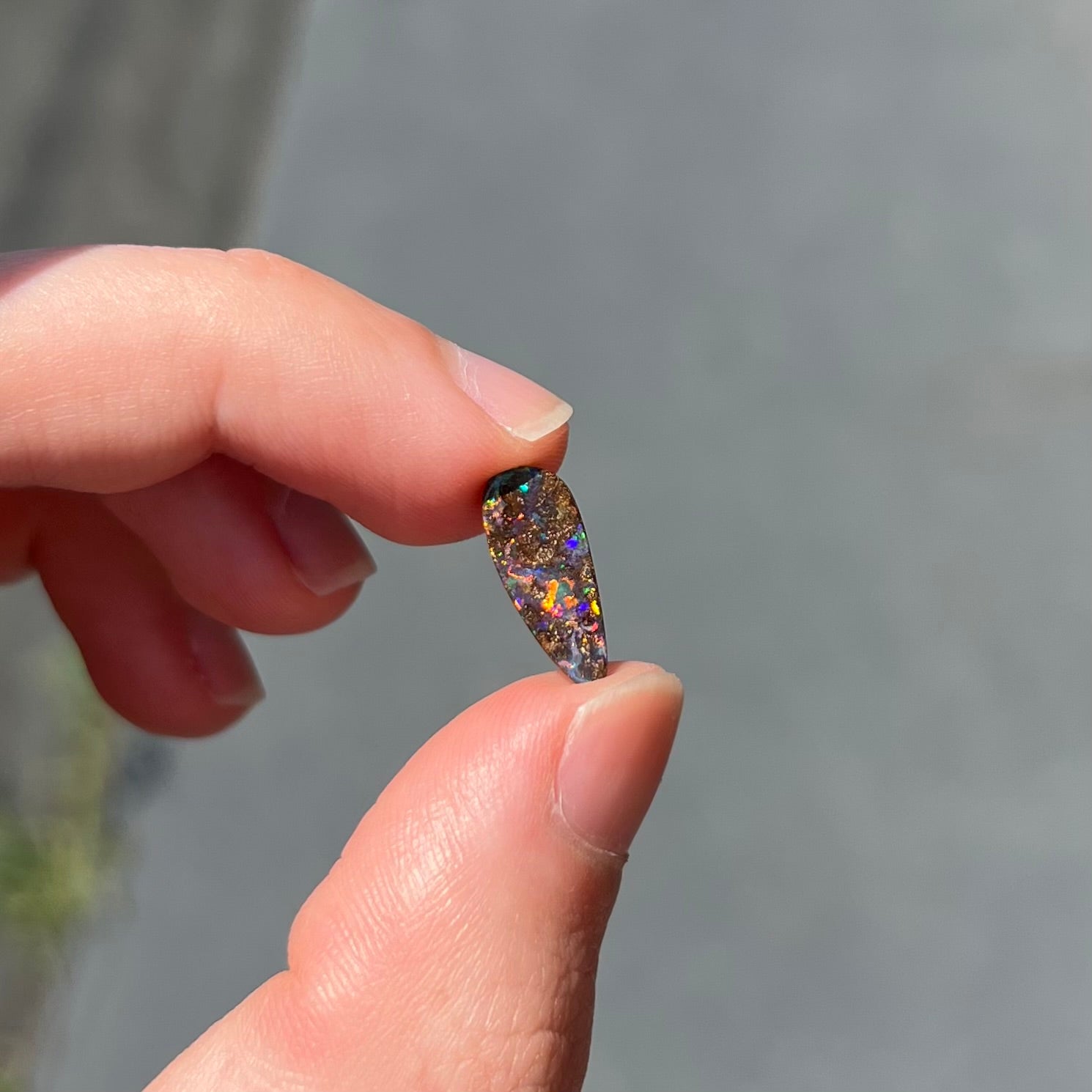 A loose, pear shaped boulder opal stone from Quilpie, Australia.  The opal shines every color of the rainbow.