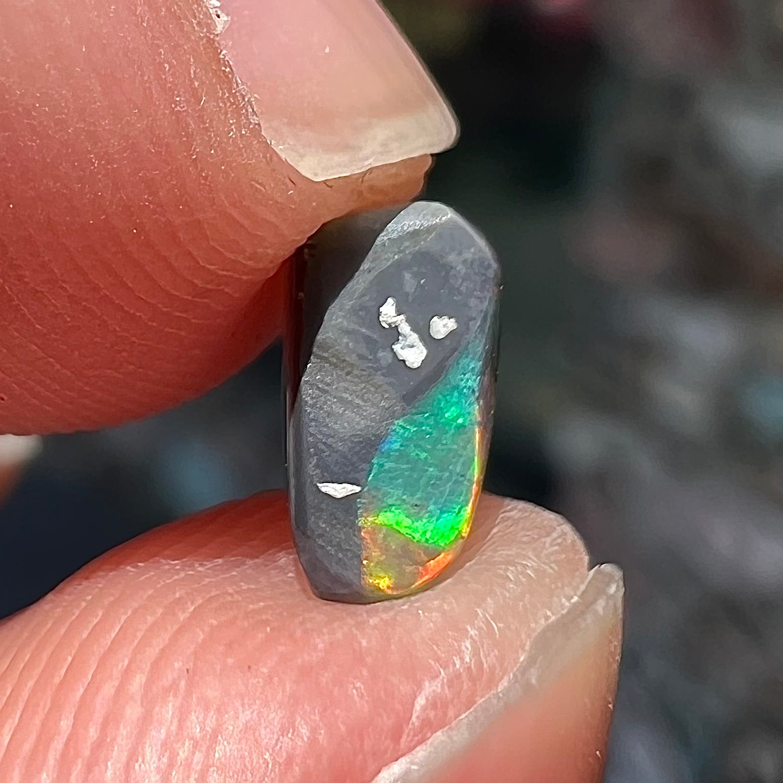 A freeform shaped black opal stone from Lightning Ridge, Australia.