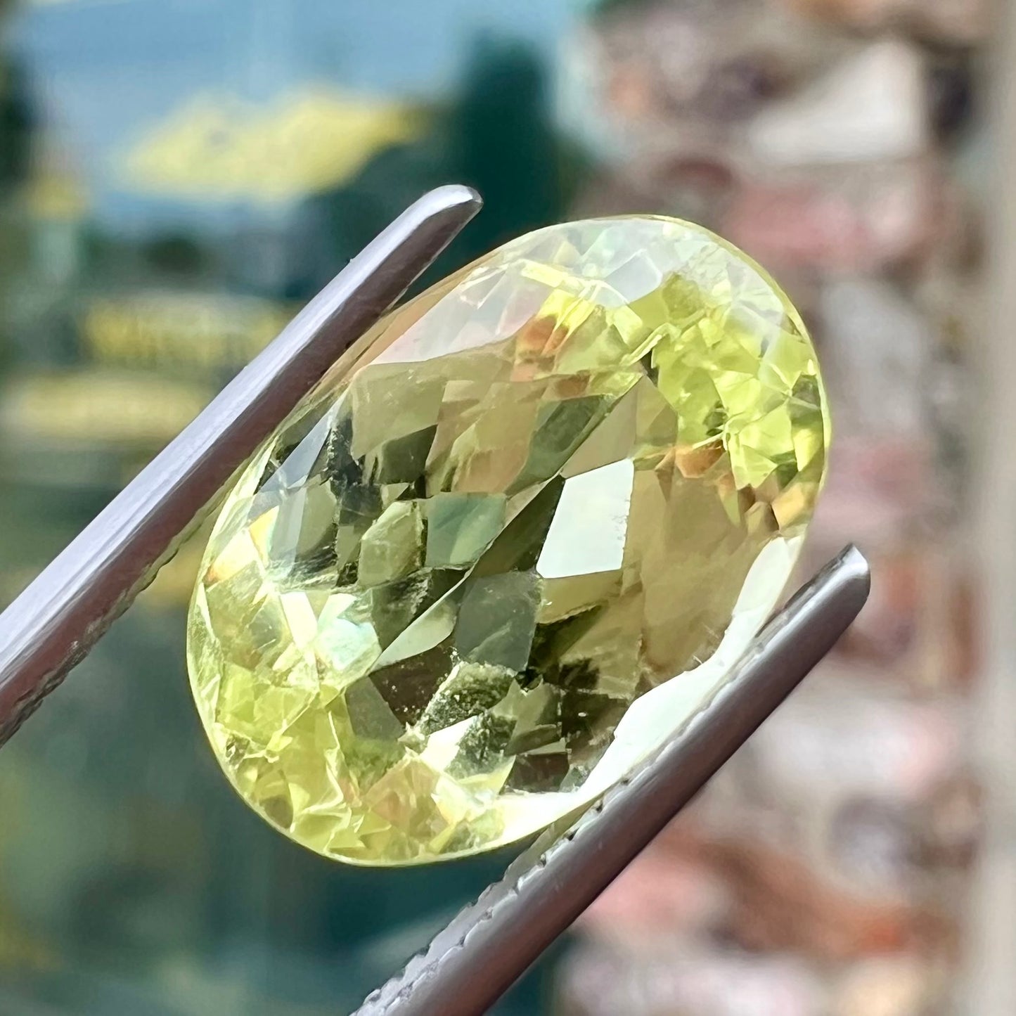 A loose, faceted oval cut chrysoberyl gemstone.  The stone is a greenish yellow color.