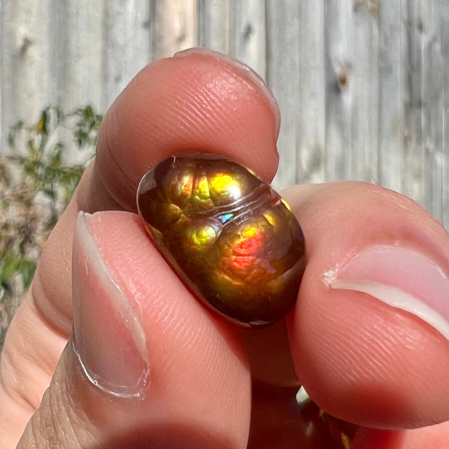 A loose Mexican fire agate cabochon.  The stone has a bright purple and blue iris pattern.