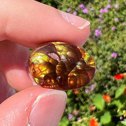 A loose, oval cabochon cut fire agate gemstone.  The stone is bubbly green with blue overtones.