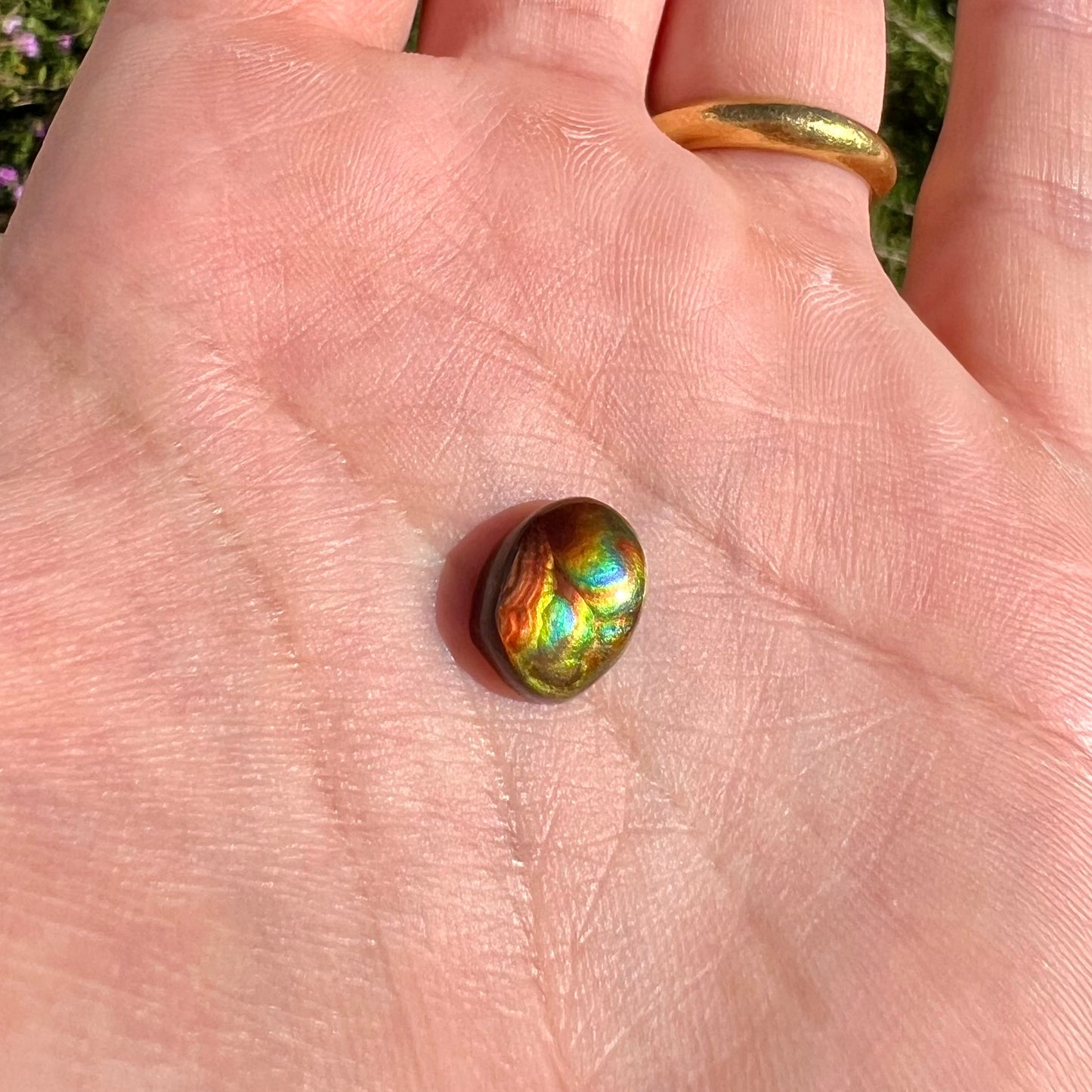 A loose, imperial grade Mexican fire agate gemstone.  The stone brightly glows every color in the sunlight.