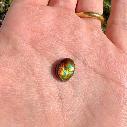 A loose, imperial grade Mexican fire agate gemstone.  The stone brightly glows every color in the sunlight.